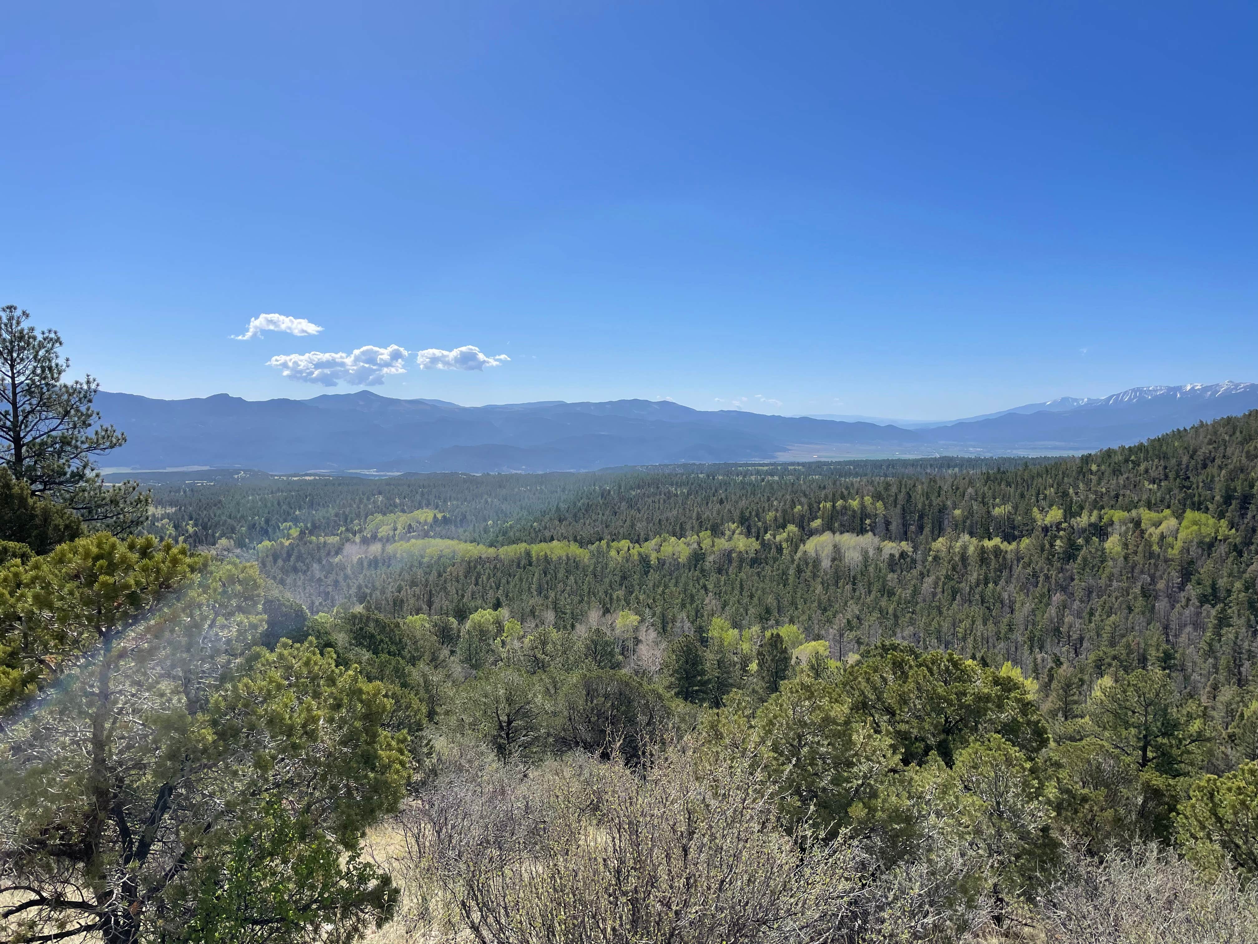 Lara S.'s photo of a dispersed camping area at Raspberry Gulch Dispersed Site near Salida, CO
