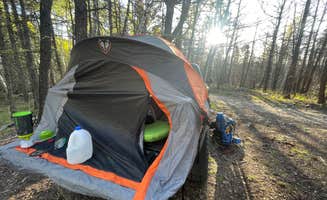 Lara S.'s photo at Raspberry Gulch Dispersed Site near Nathrop, CO
