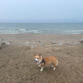 Review photo of Adeline Jay-Geo Karis Illinois Beach State Park by Samantha , July 5, 2023