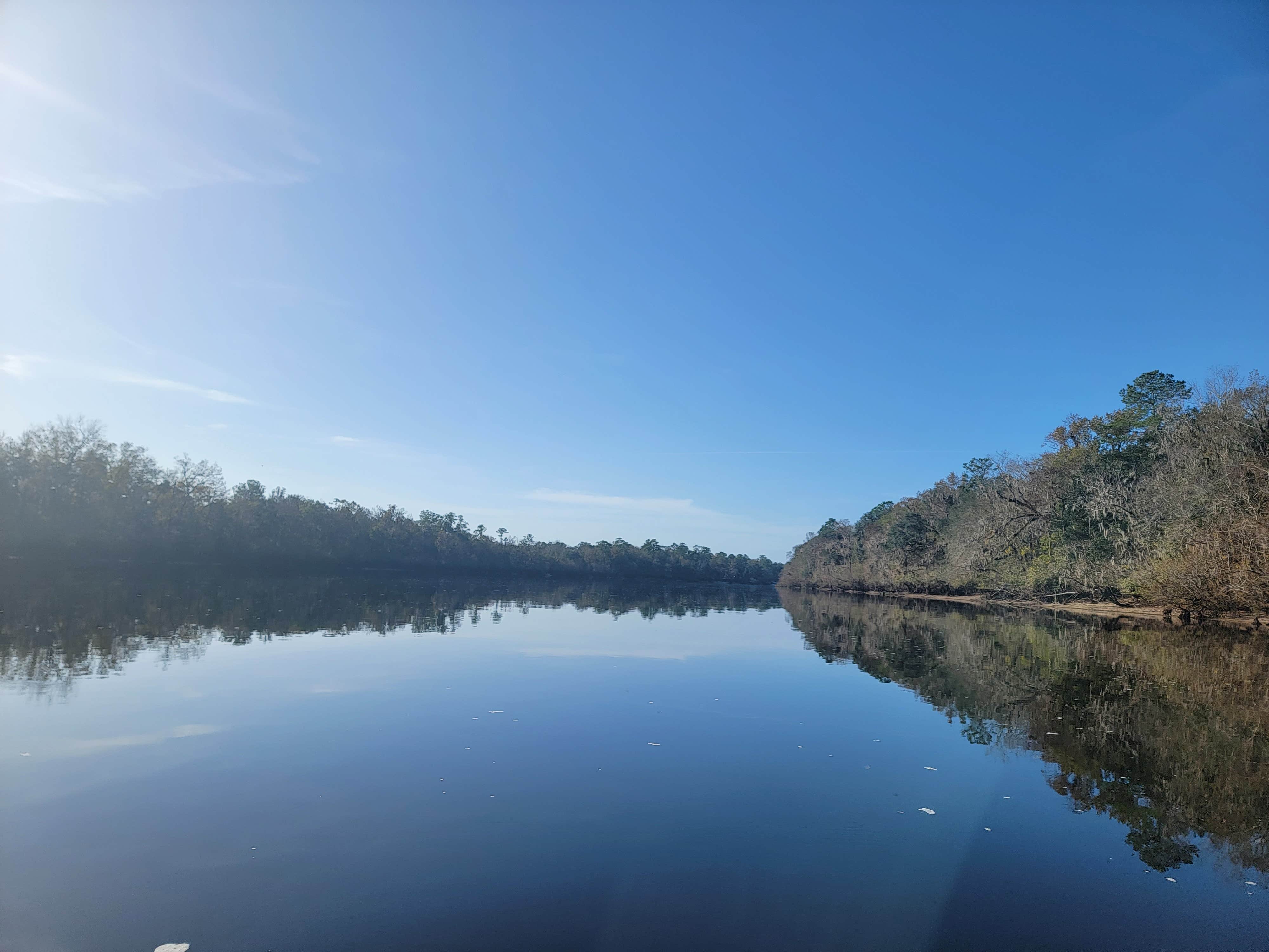 Camper submitted image from Gornto Springs Park - 3