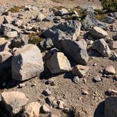 Review photo of Ipsut Creek Backcountry Campground — Mount Rainier National Park by Adeline T., October 22, 2018