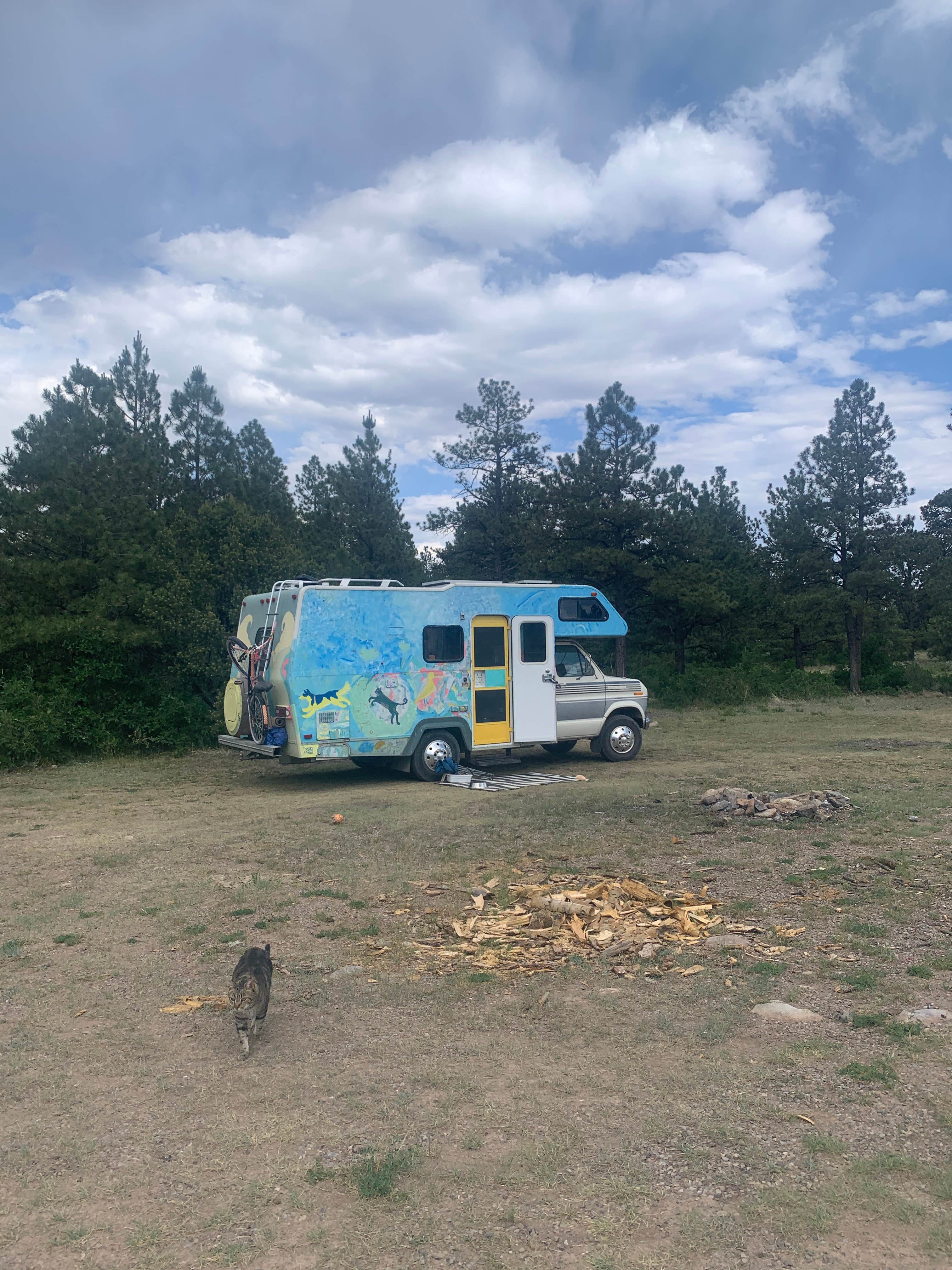 Beverley G.'s photo of camping with pets at Tres Piedras on Forest Road 64G near Antonito, CO