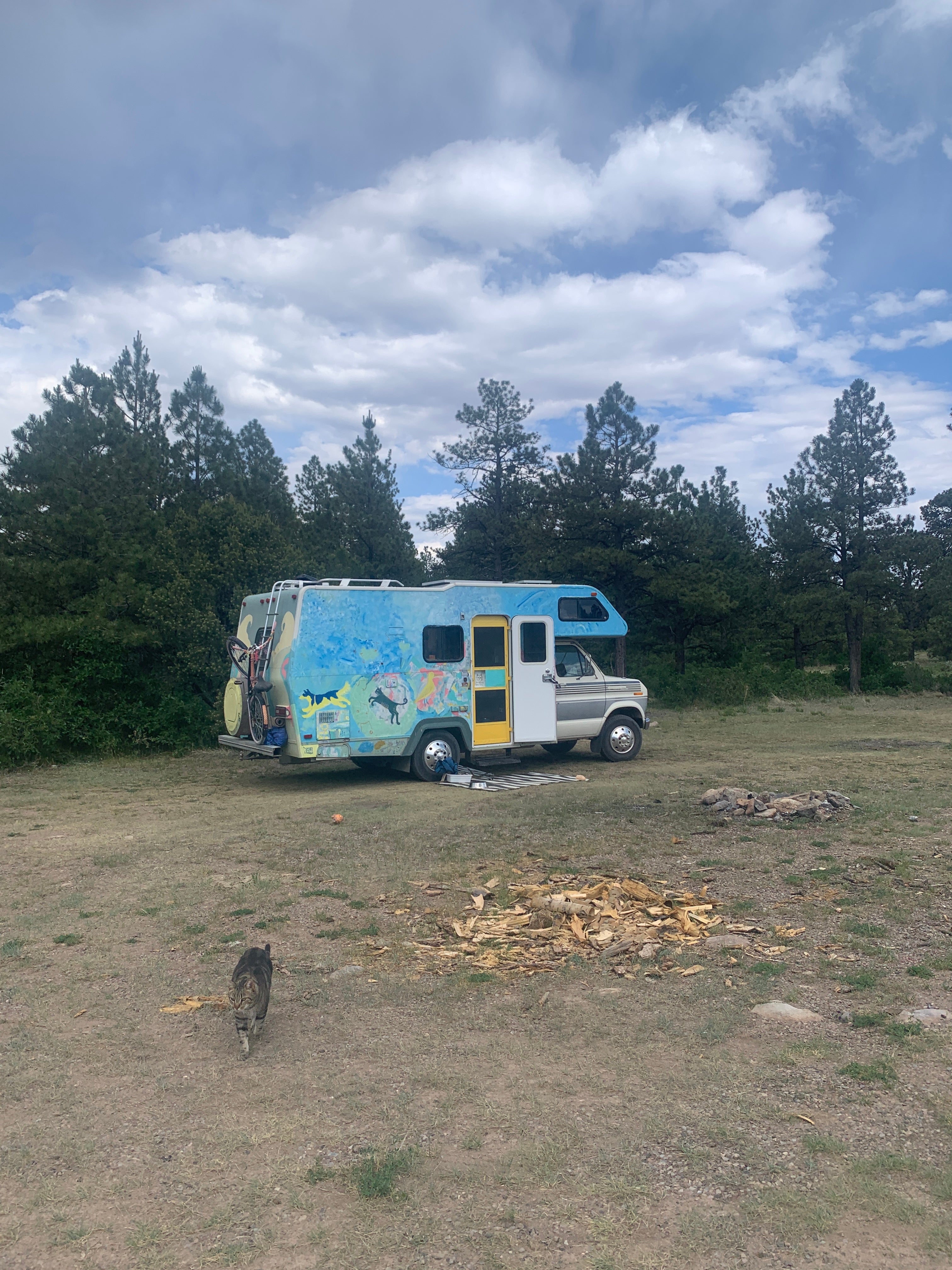 Camper submitted image from Tres Piedras on Forest Road 64G - 2