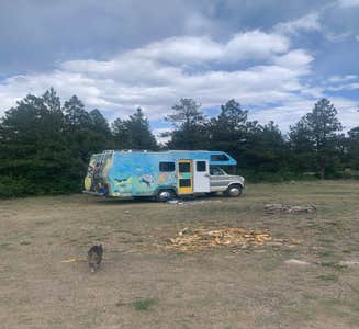 Camper-submitted photo from Tres Piedras on Forest Road 64G