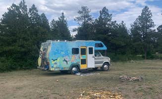 Beverley G.'s photo of camping with pets at Tres Piedras on Forest Road 64G in New Mexico
