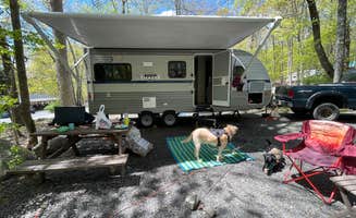Emily S.'s photo of camping with pets at Mountain Vista Campground near Delaware Water Gap National Recreation Area