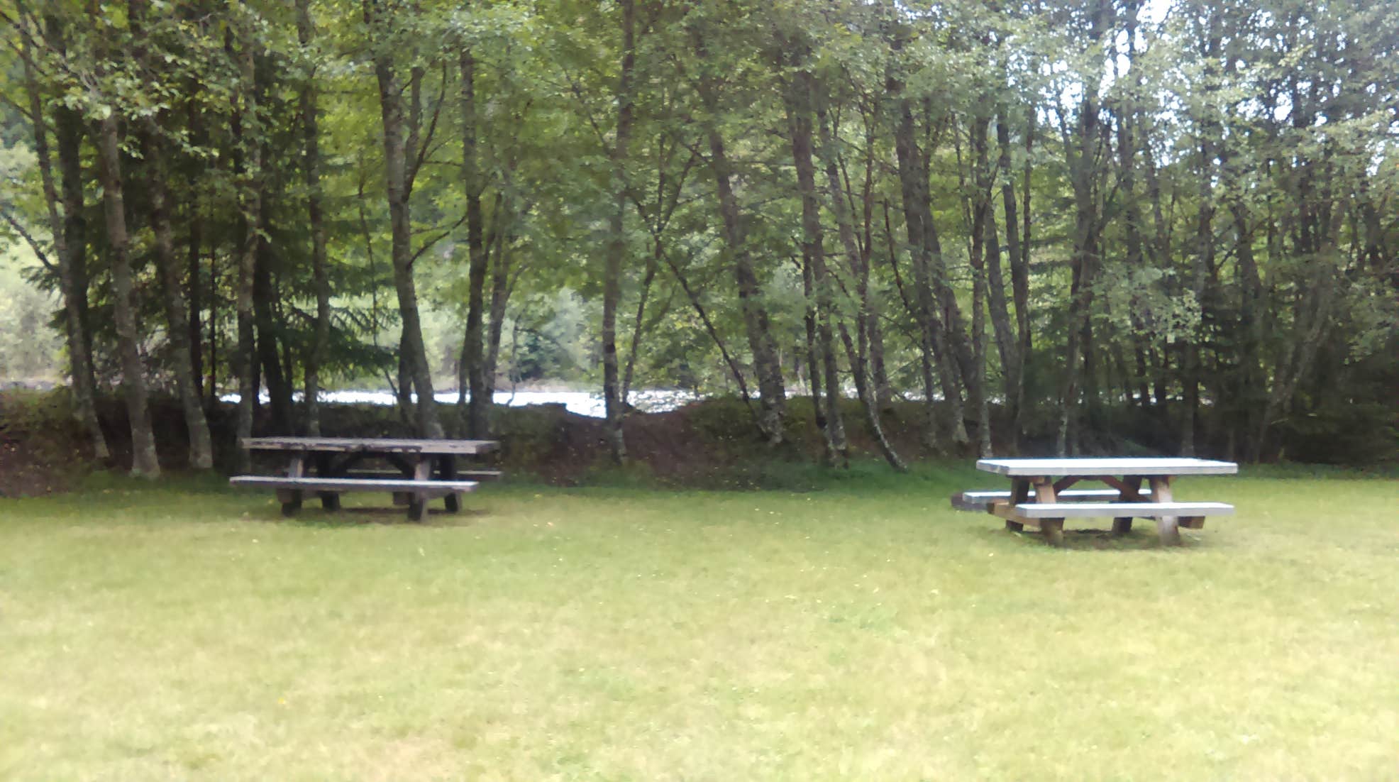 Silver Springs Campground Camping The Dyrt