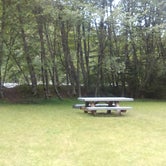 Review photo of Silver Springs Campground by Danielle S., August 21, 2016