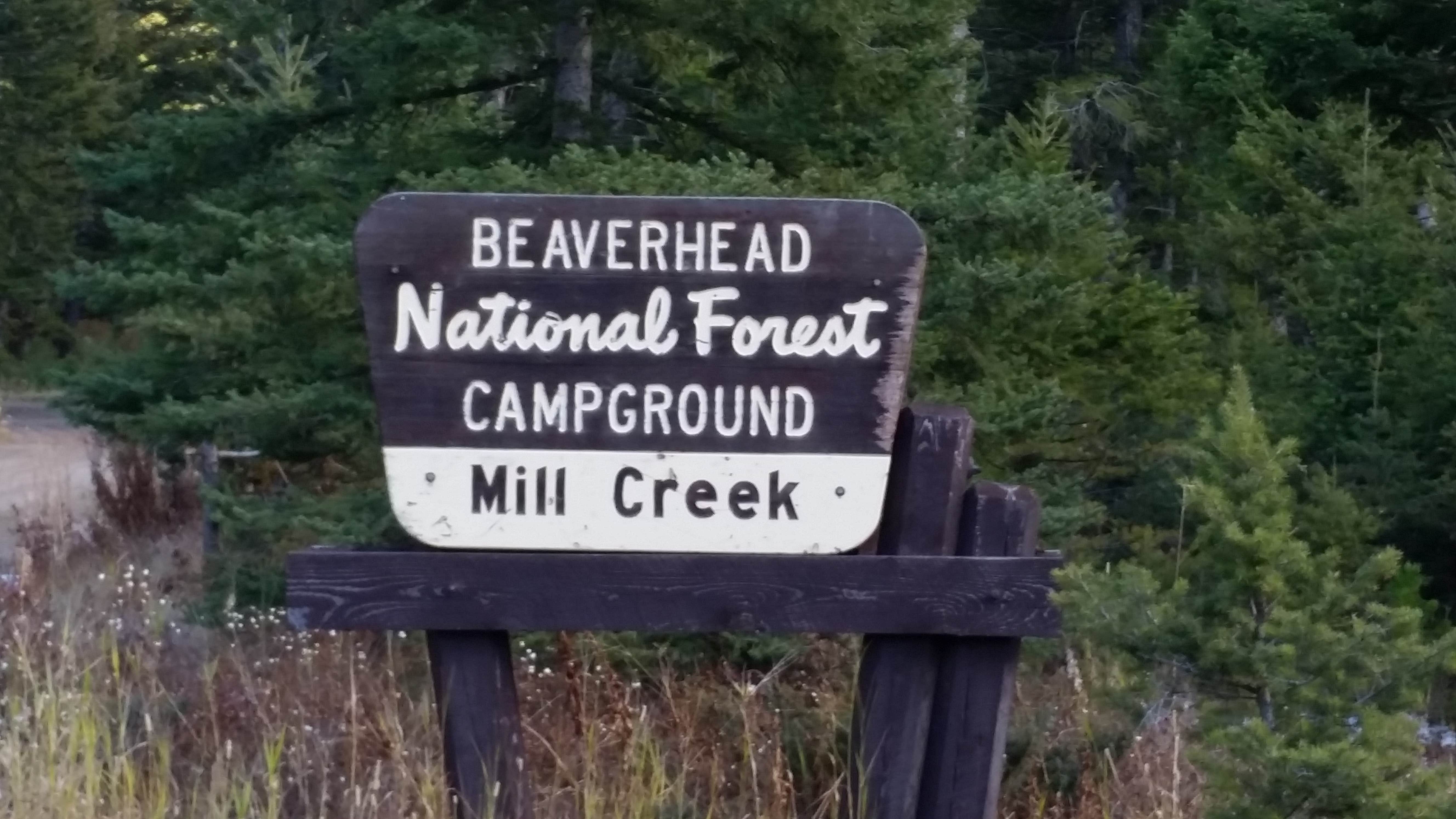 Camper submitted image from Beaverhead National Forest Mill Creek Campground - 2