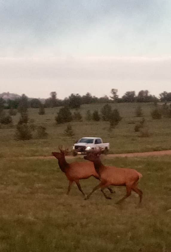 Camper-submitted photo at Government Gully Rd - Dispersed near Buford, WY