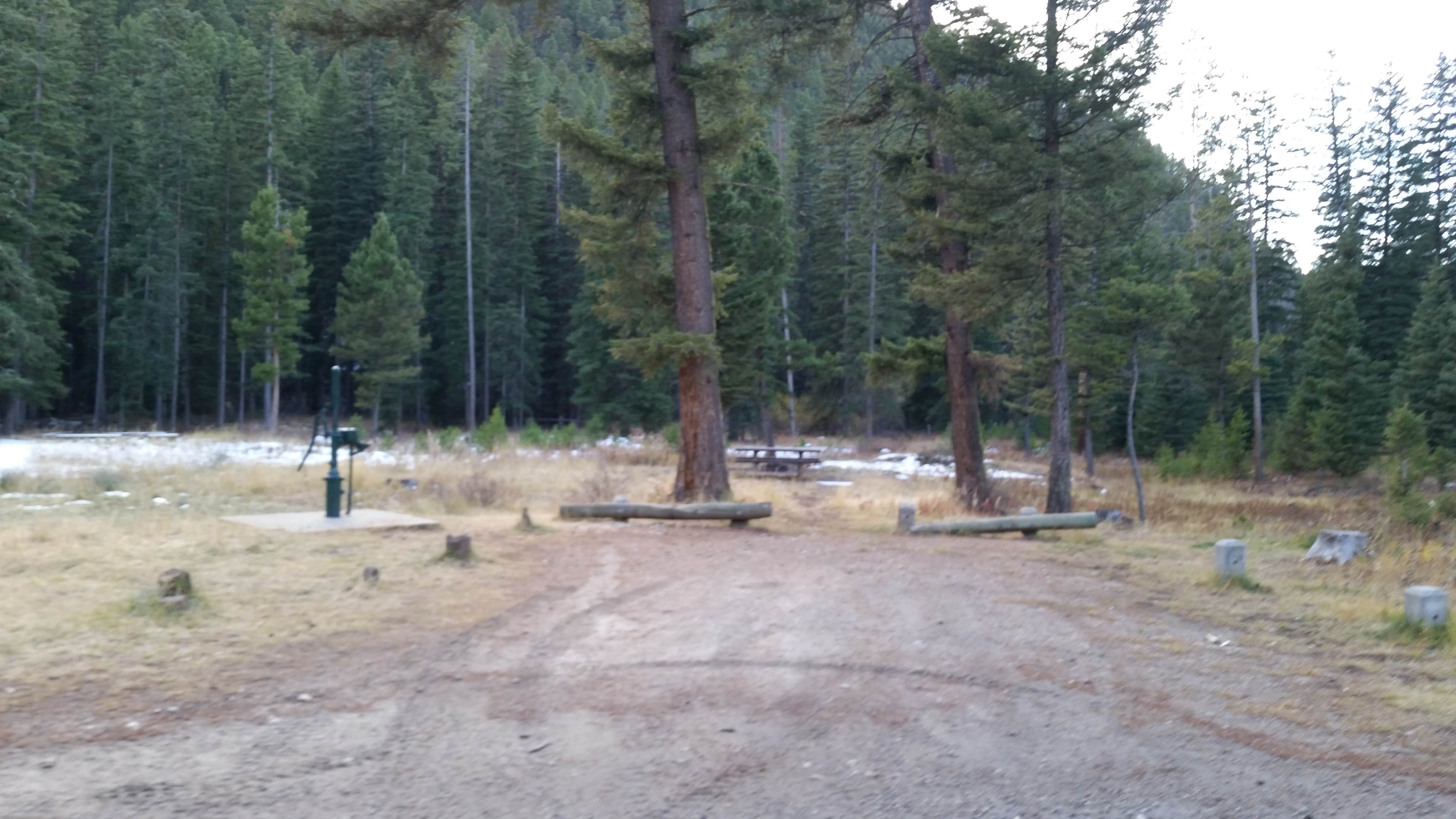 Camper submitted image from Beaverhead National Forest Mill Creek Campground - 4