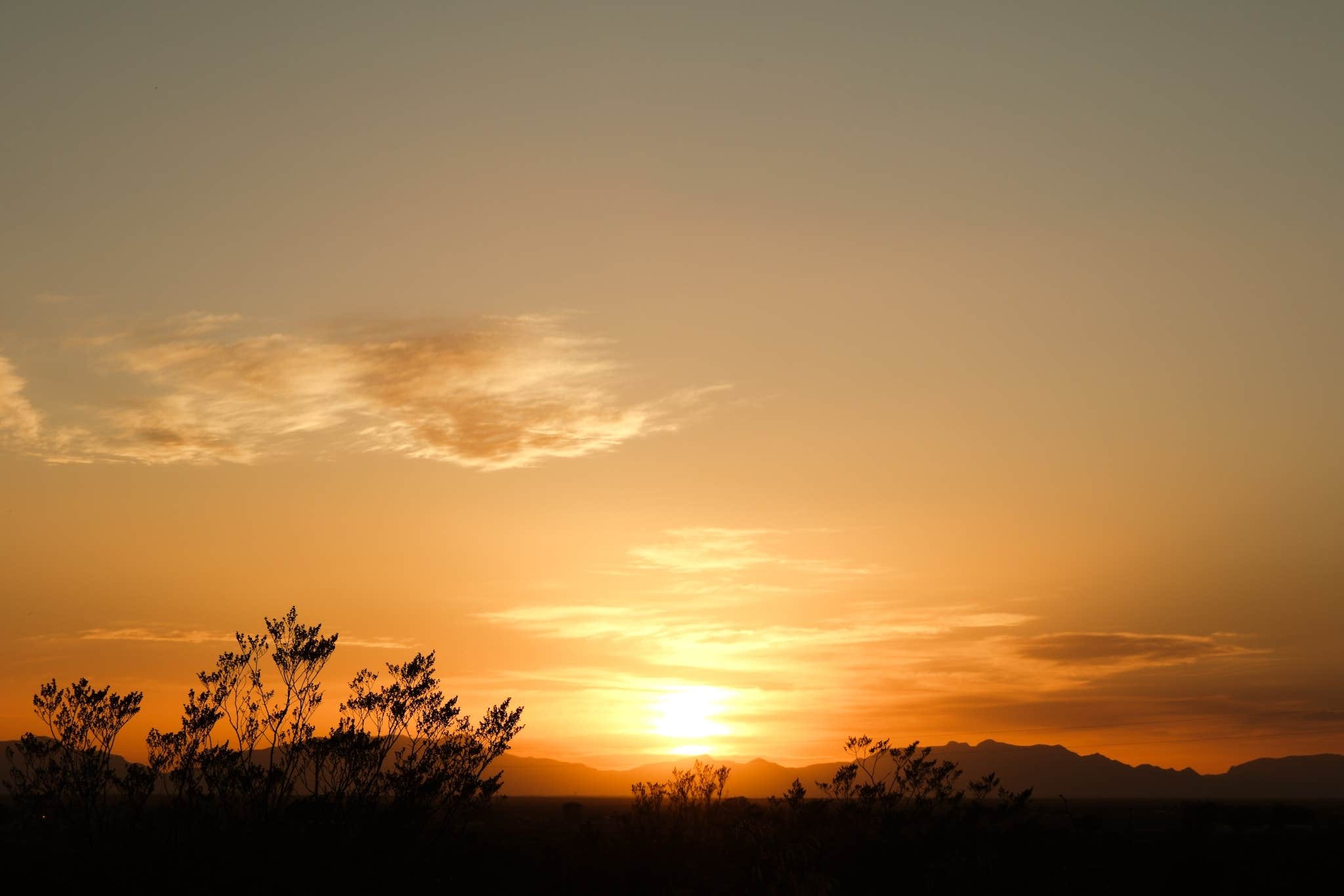 PJ M.'s photo of a dispersed camping area at Dog Canyon near Sunspot, NM