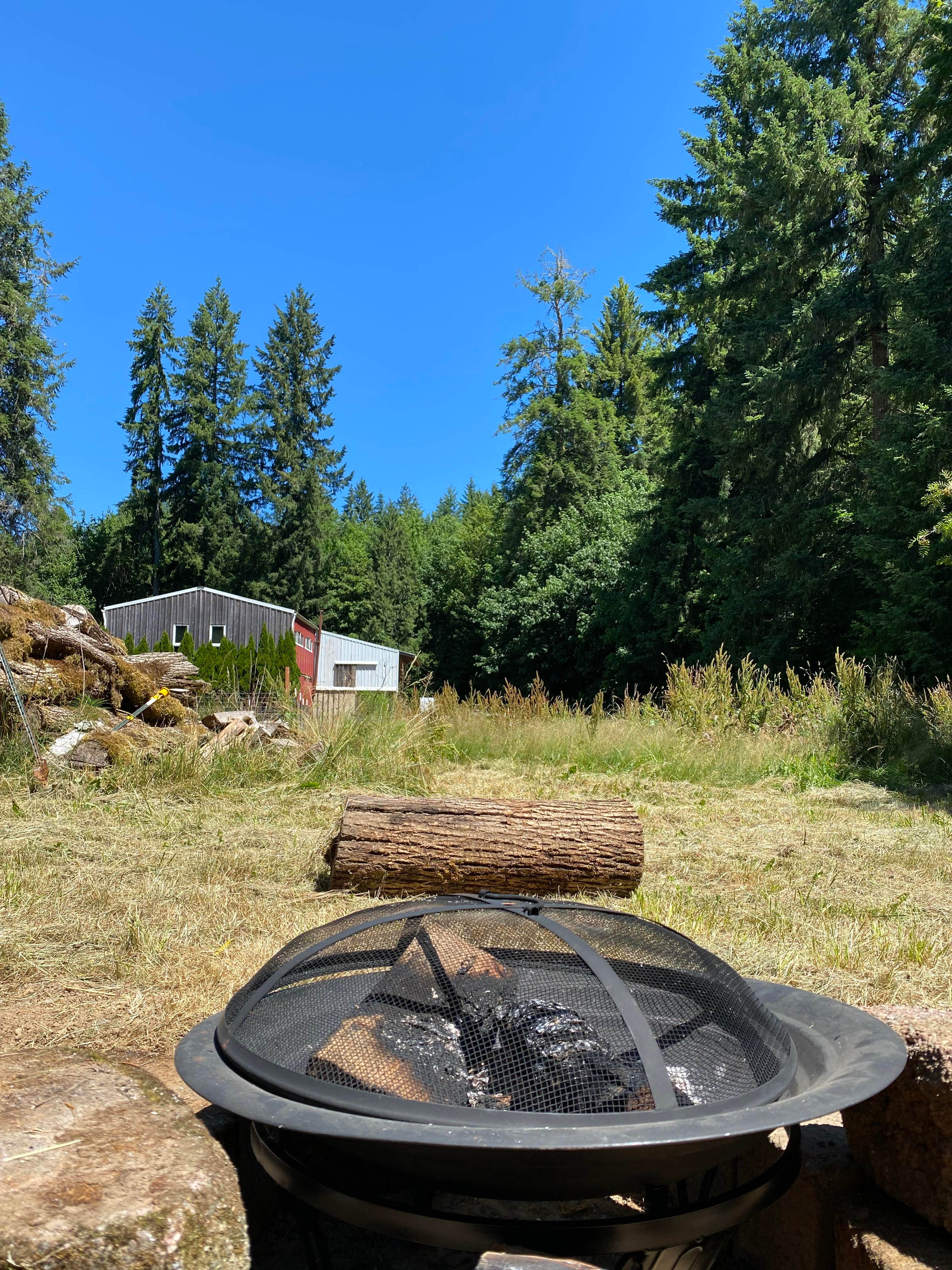 Camper submitted image from 2 Doves Farmstead - 2