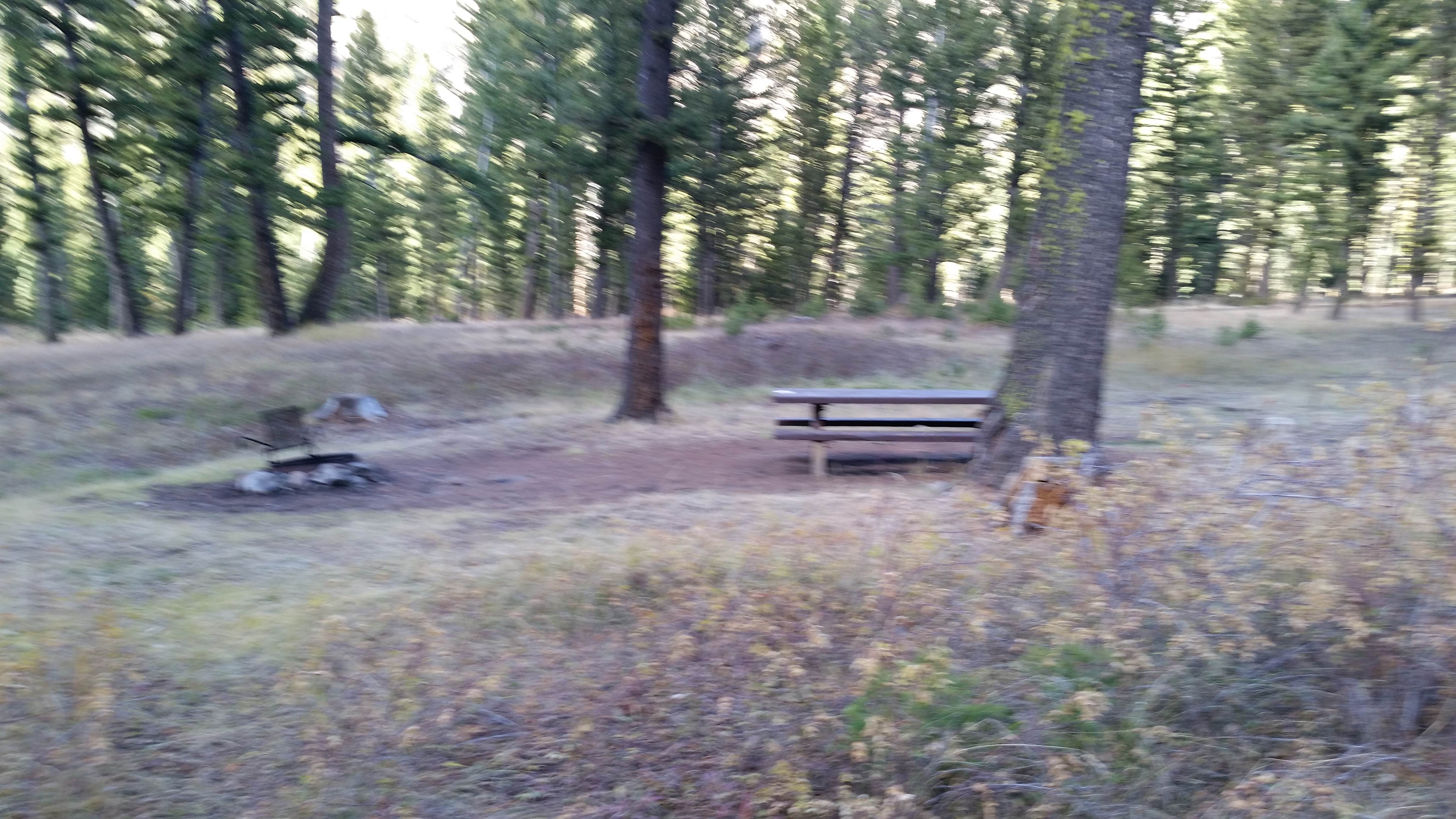 Camper submitted image from Beaverhead National Forest Mill Creek Campground - 3