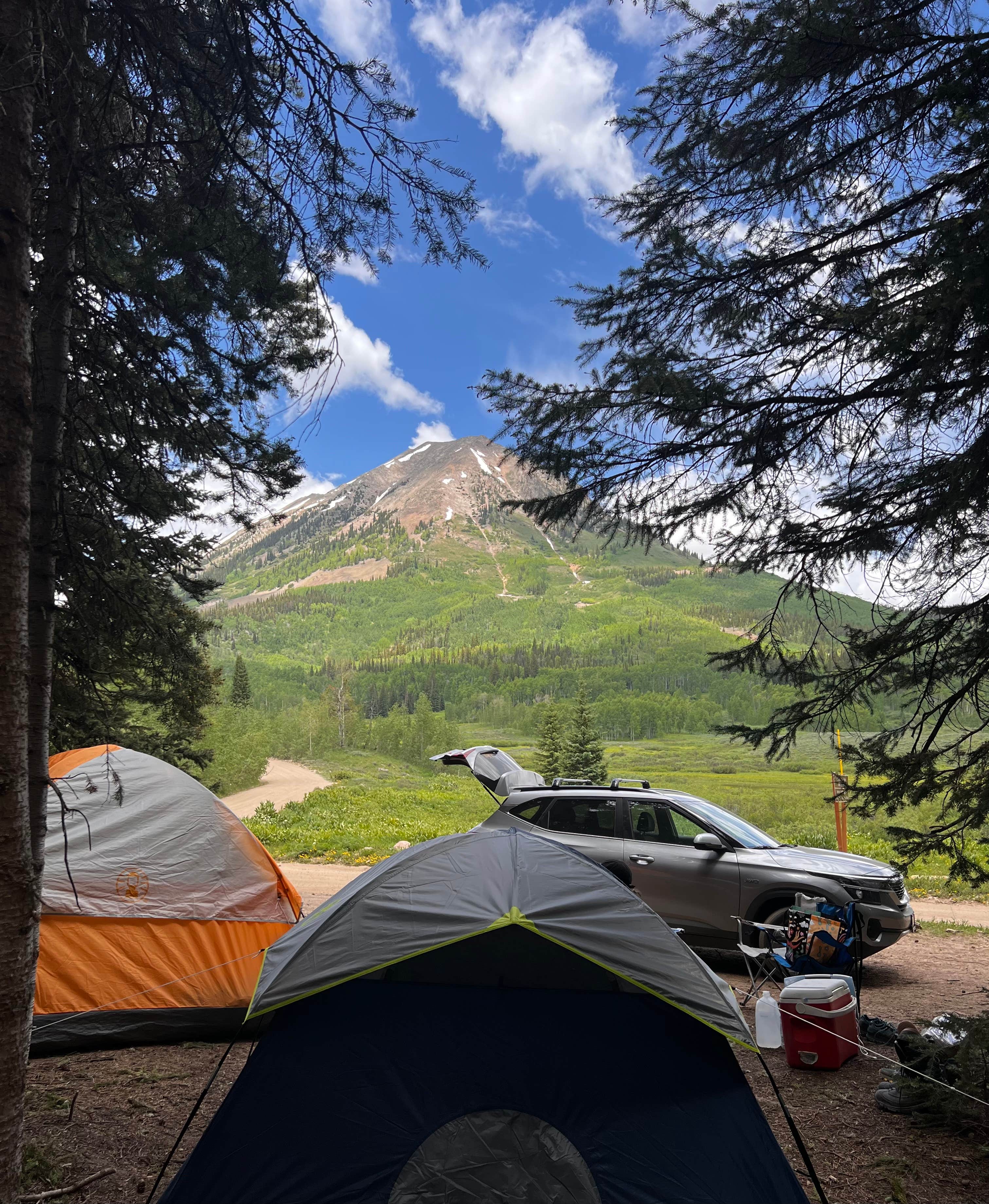 Camper submitted image from Washington Gulch Dispersed Camping - PERMANENTLY CLOSED - 4