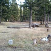 Review photo of Beaverhead National Forest Mill Creek Campground by Dexter I., October 22, 2018