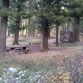 Review photo of Beaverhead National Forest Mill Creek Campground by Dexter I., October 22, 2018