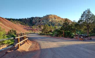 Meghan M.'s photo of camping with pets at Sunglow Campground near Capitol Reef National Park