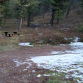 Review photo of Beaverhead National Forest Mill Creek Campground by Dexter I., October 22, 2018