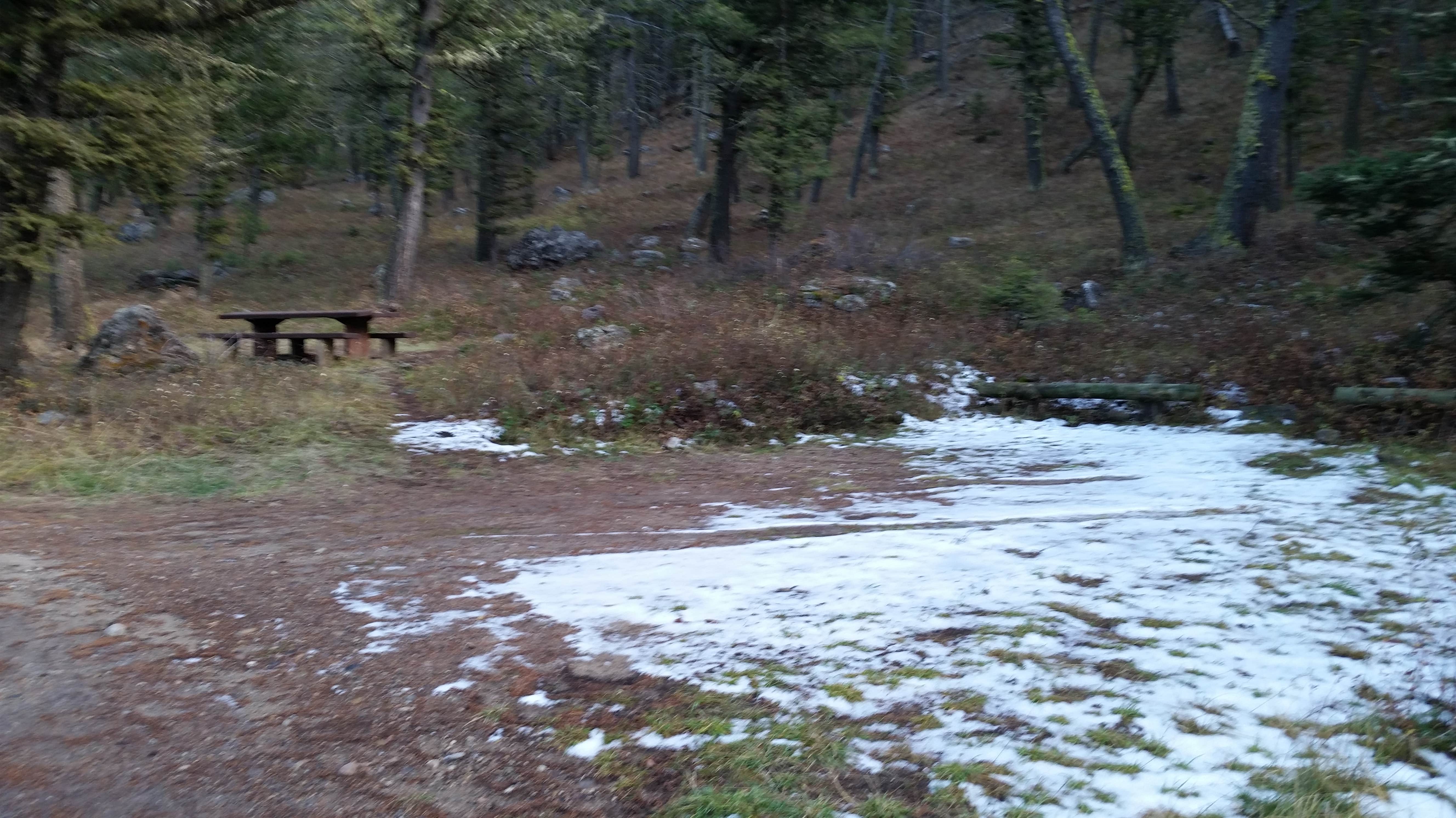 Camper submitted image from Beaverhead National Forest Mill Creek Campground - 5