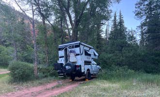 Camping near Caddis Flats: Fall Creek Camping, Placerville, Colorado
