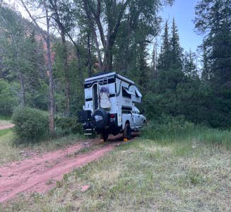 Camper-submitted photo from Fall Creek Camping