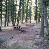 Review photo of Beaverhead National Forest Mill Creek Campground by Dexter I., October 22, 2018