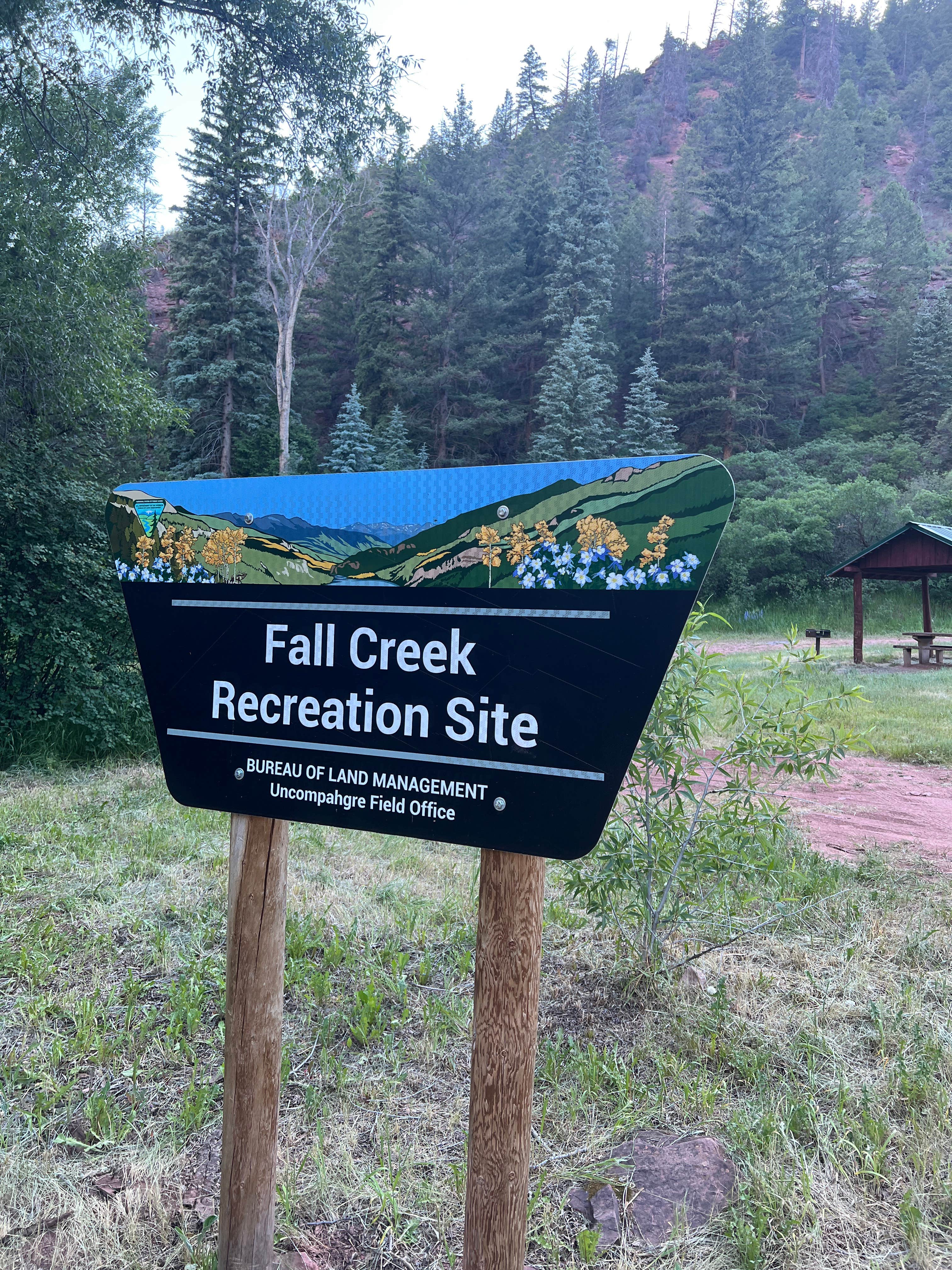 Camper-submitted photo at Fall Creek Camping near Nucla, CO