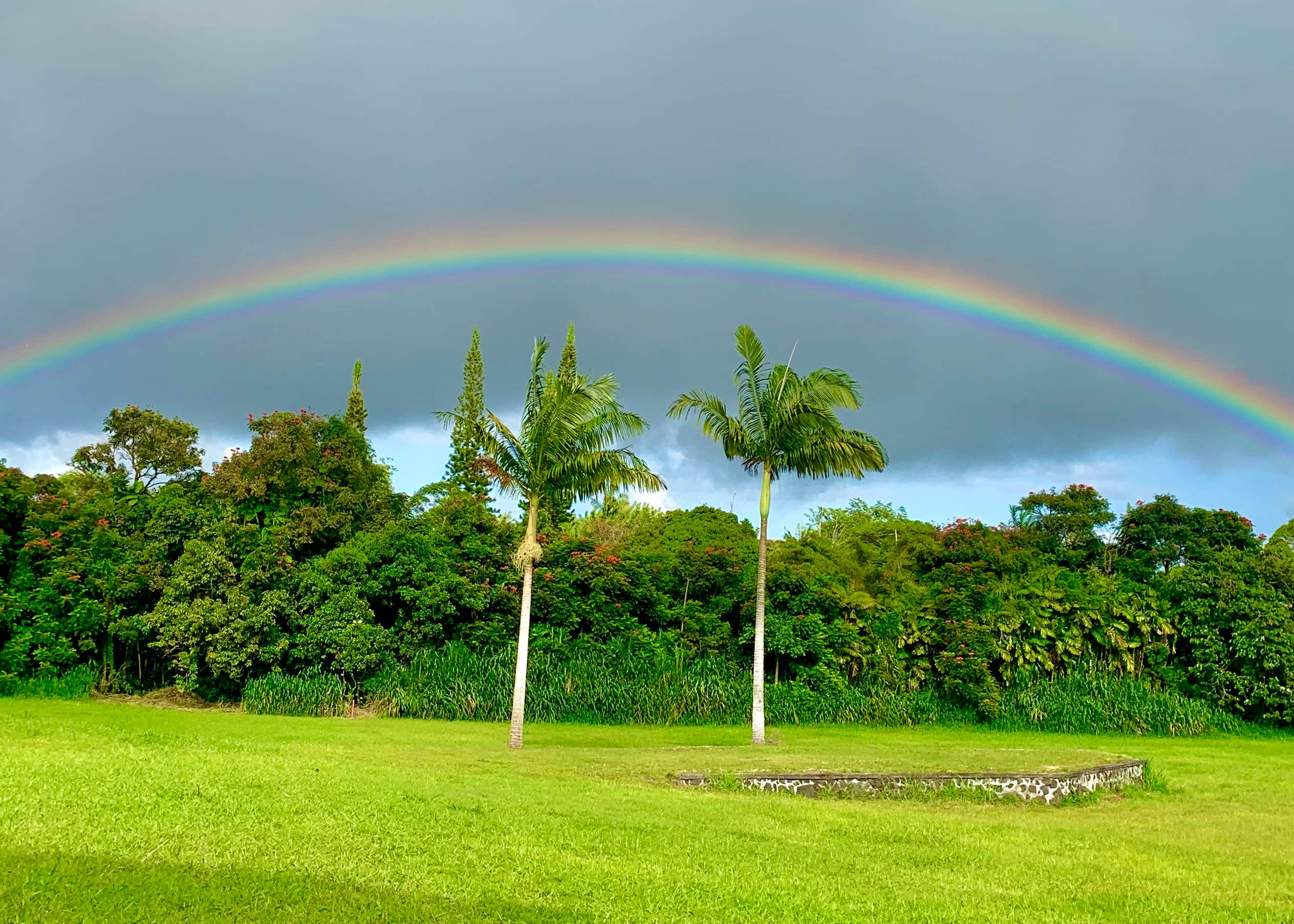 Aloha Acres Camping The Dyrt