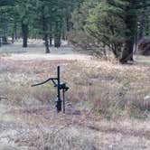 Review photo of Beaverhead National Forest Mill Creek Campground by Dexter I., October 22, 2018