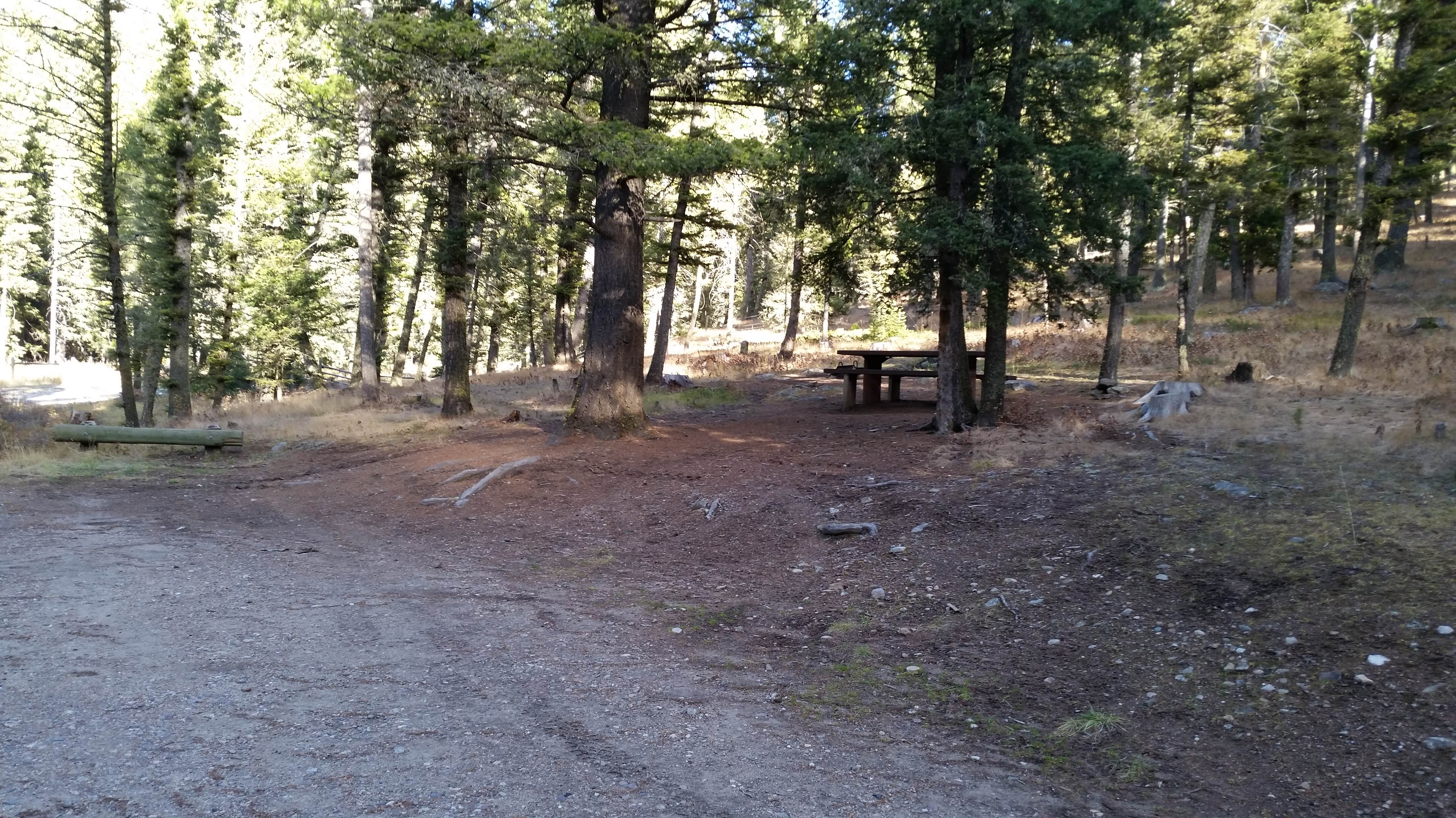 Camper submitted image from Beaverhead National Forest Mill Creek Campground - 1