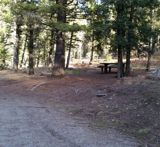 Camper-submitted photo from Beaverhead National Forest Mill Creek Campground