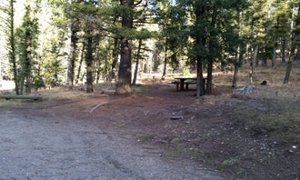 Camping near Potosi Campground: Beaverhead National Forest Mill Creek Campground, Sheridan, Montana