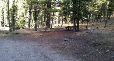 Beaverhead National Forest Mill Creek Campground