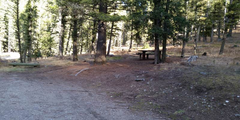 Camper submitted image from Beaverhead National Forest Mill Creek Campground