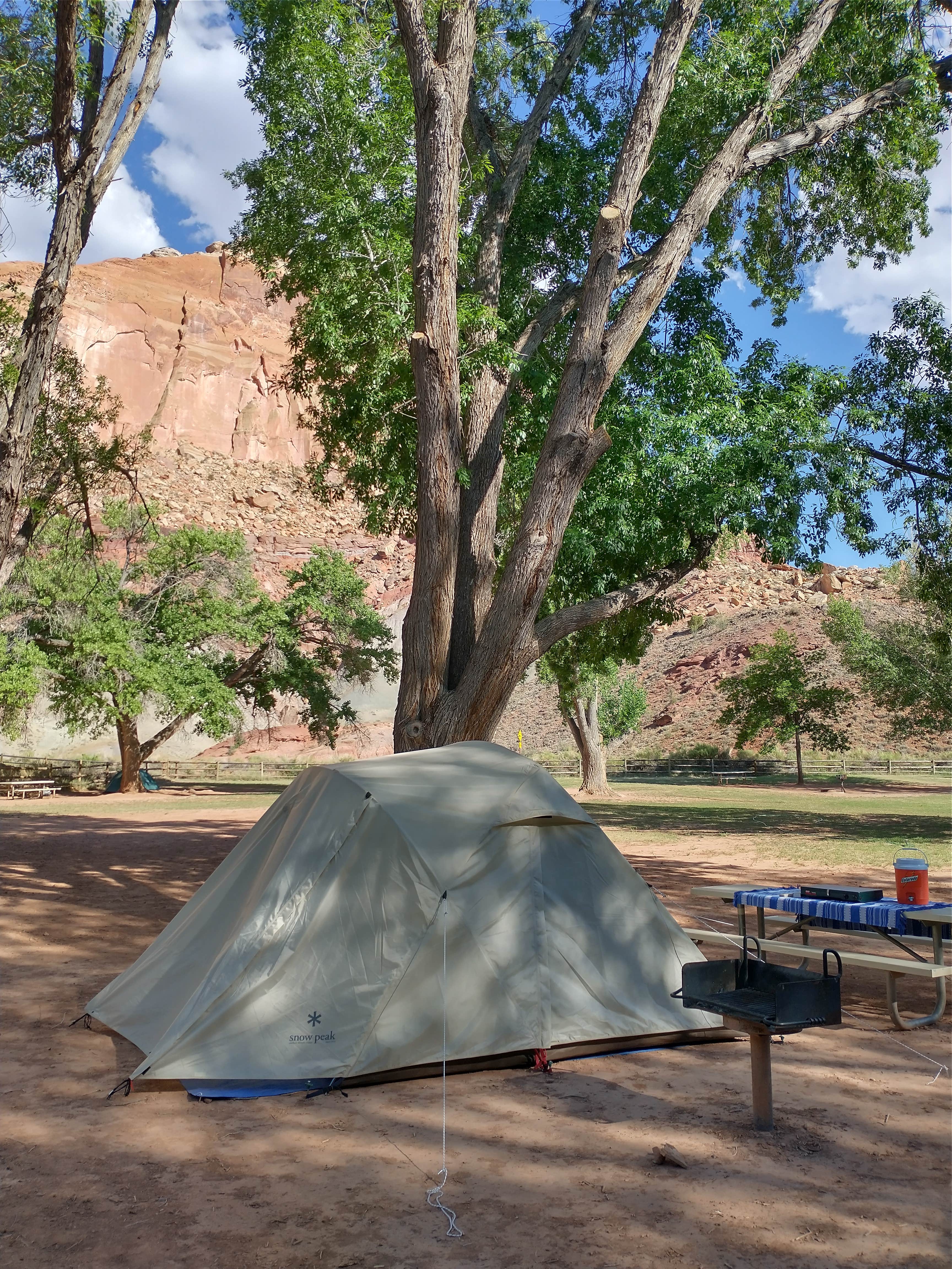 Meghan M.'s photo at Fruita Campground — Capitol Reef National Park near Capitol Reef National Park