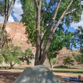 Review photo of Fruita Campground — Capitol Reef National Park by Meghan M., July 6, 2023