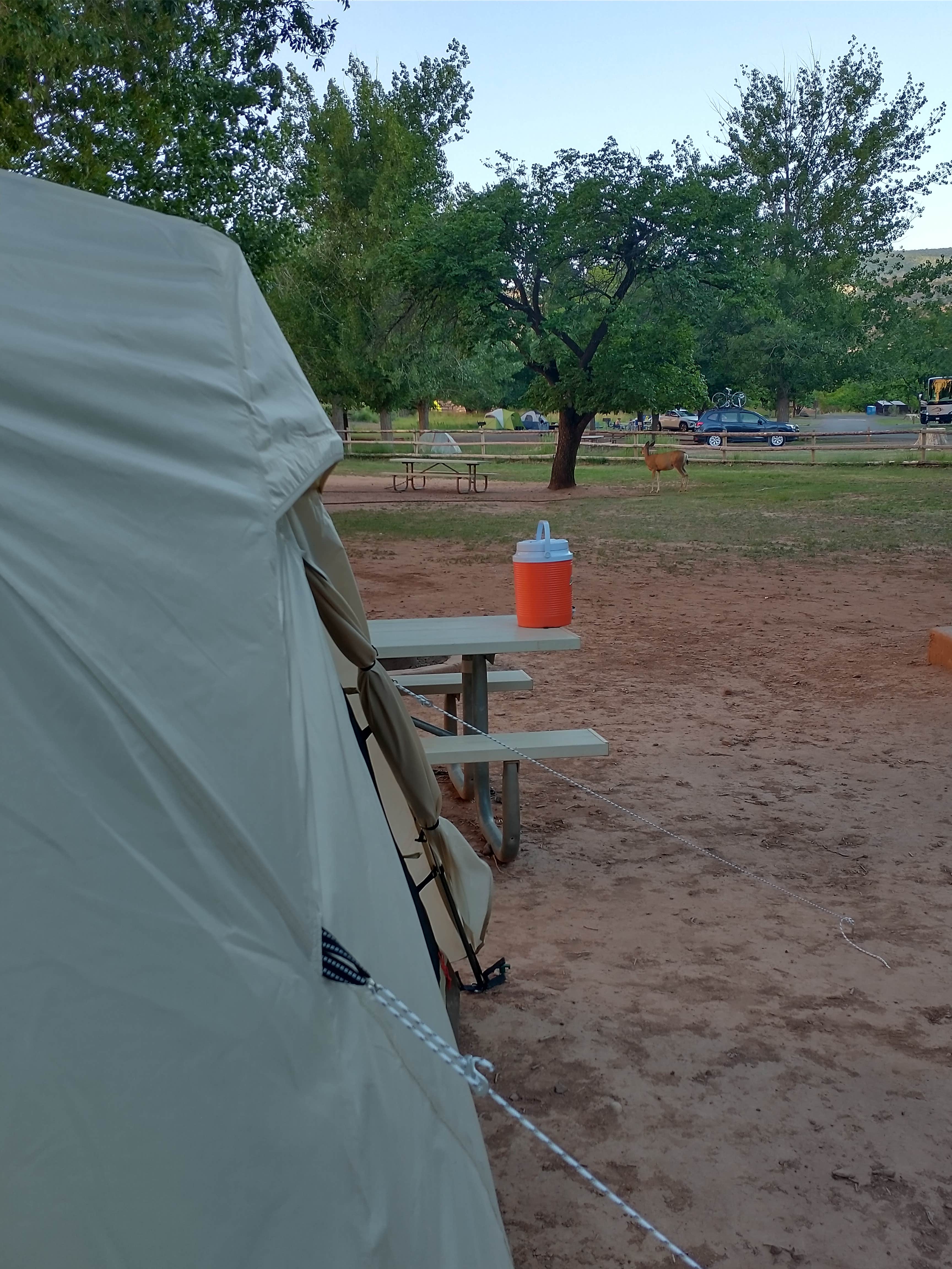 Meghan M.'s photo of camping with pets at Fruita Campground — Capitol Reef National Park near Fremont, UT