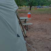 Review photo of Fruita Campground — Capitol Reef National Park by Meghan M., July 6, 2023