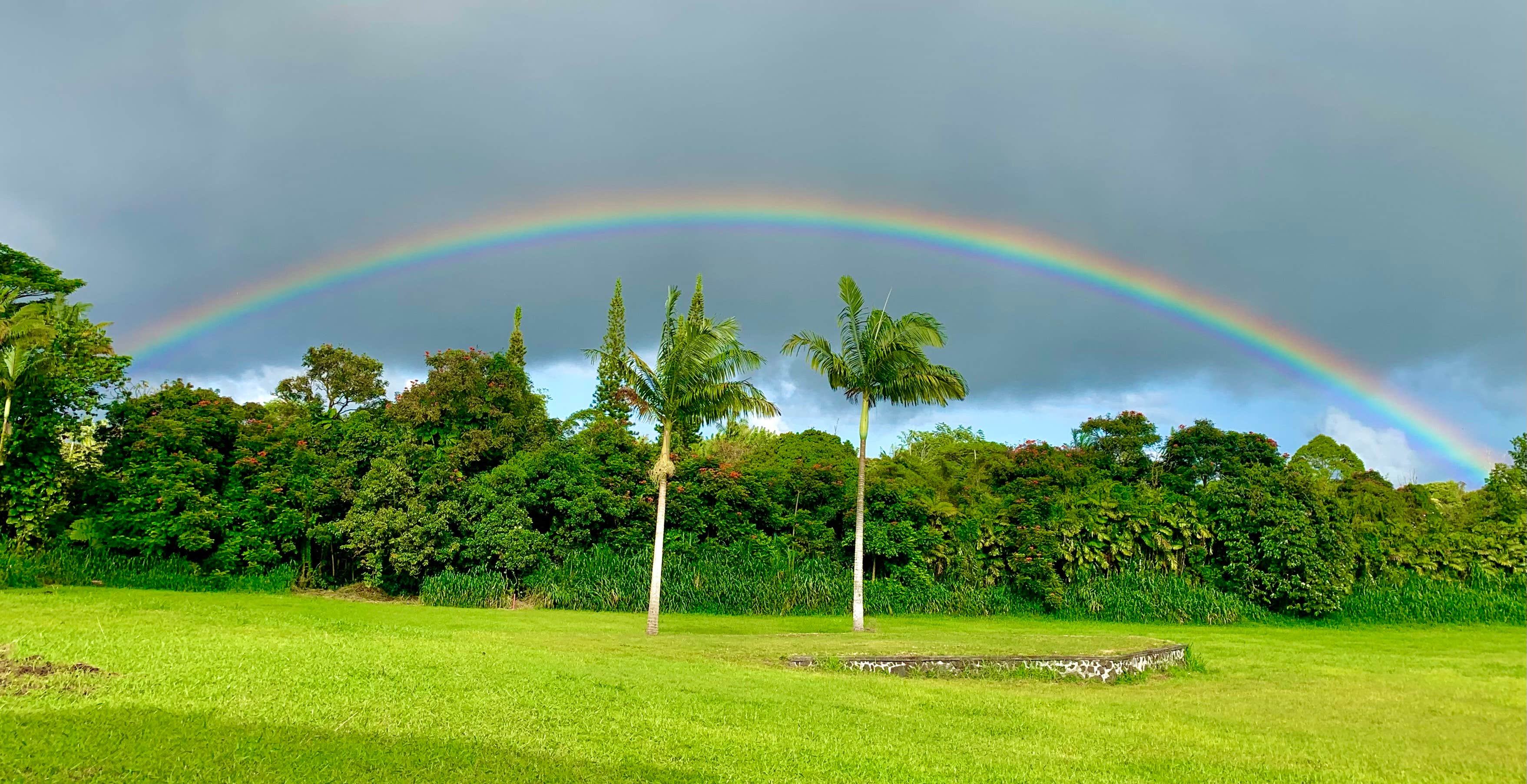 Camper-submitted photo at Aloha Acres near Hawaii Volcanoes National Park
