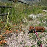 Review photo of Lower portneuf campground by A W., July 6, 2023