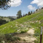 Review photo of Montana Gulch by Adeline T., October 22, 2018