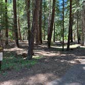 Review photo of Abbott Creek Campground by Bill T., July 6, 2023