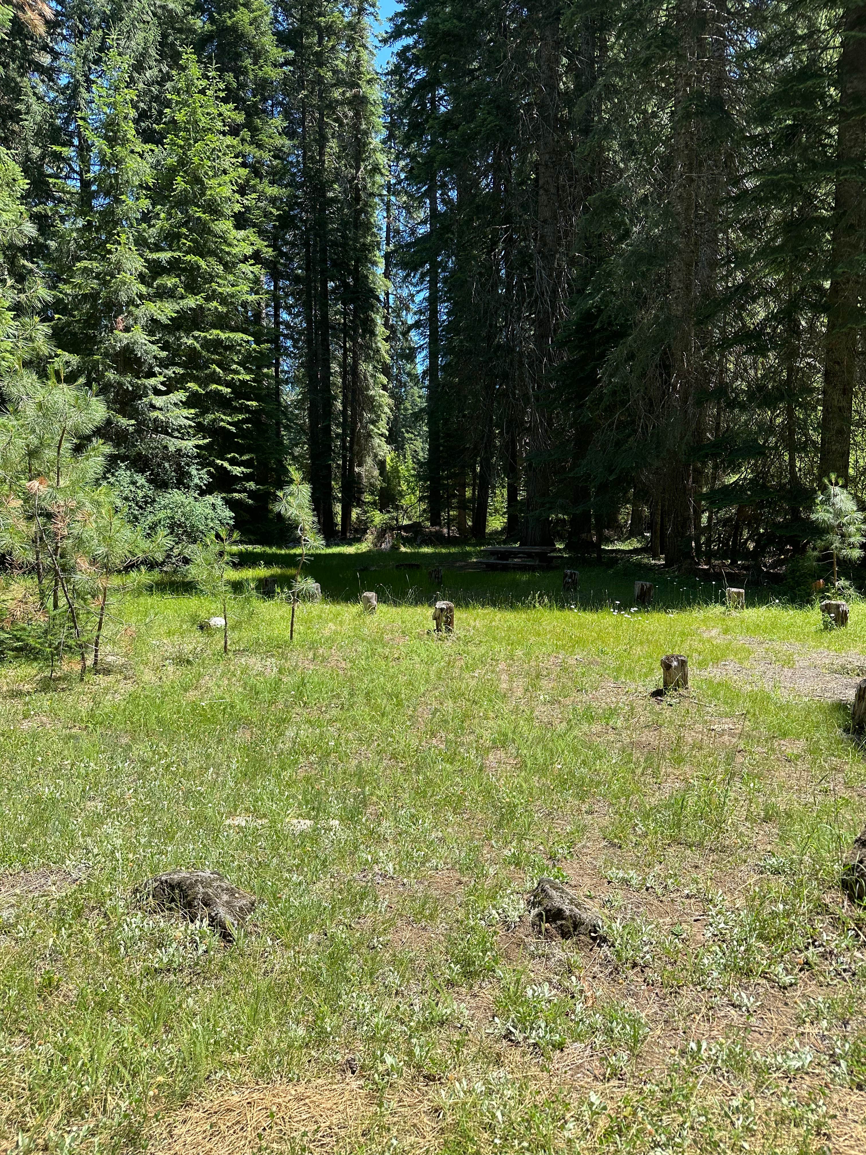 Camper-submitted photo at Abbott Creek Campground near Crater Lake, OR