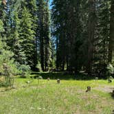 Review photo of Abbott Creek Campground by Bill T., July 6, 2023