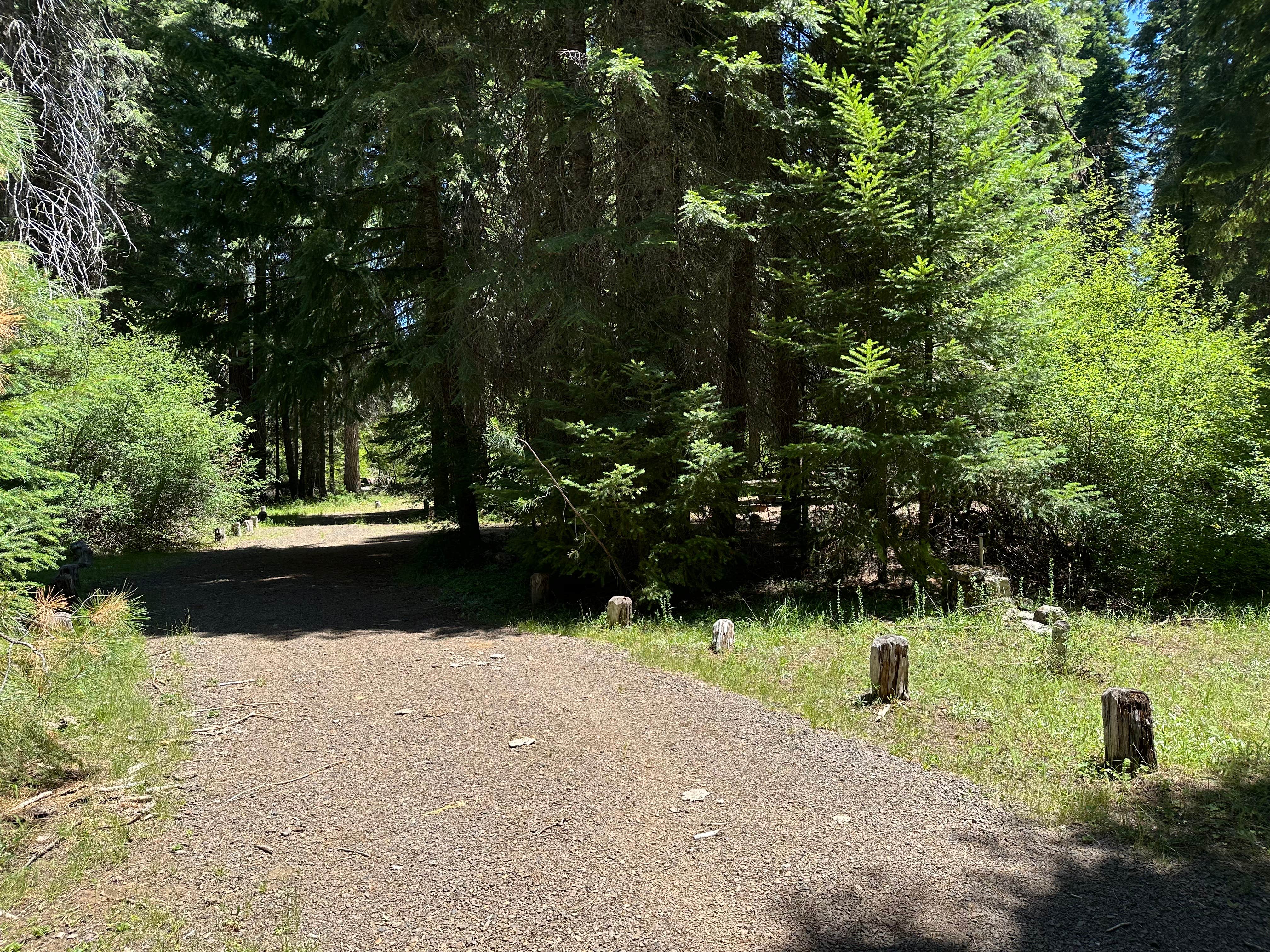 Camper-submitted photo at Abbott Creek Campground near Crater Lake, OR