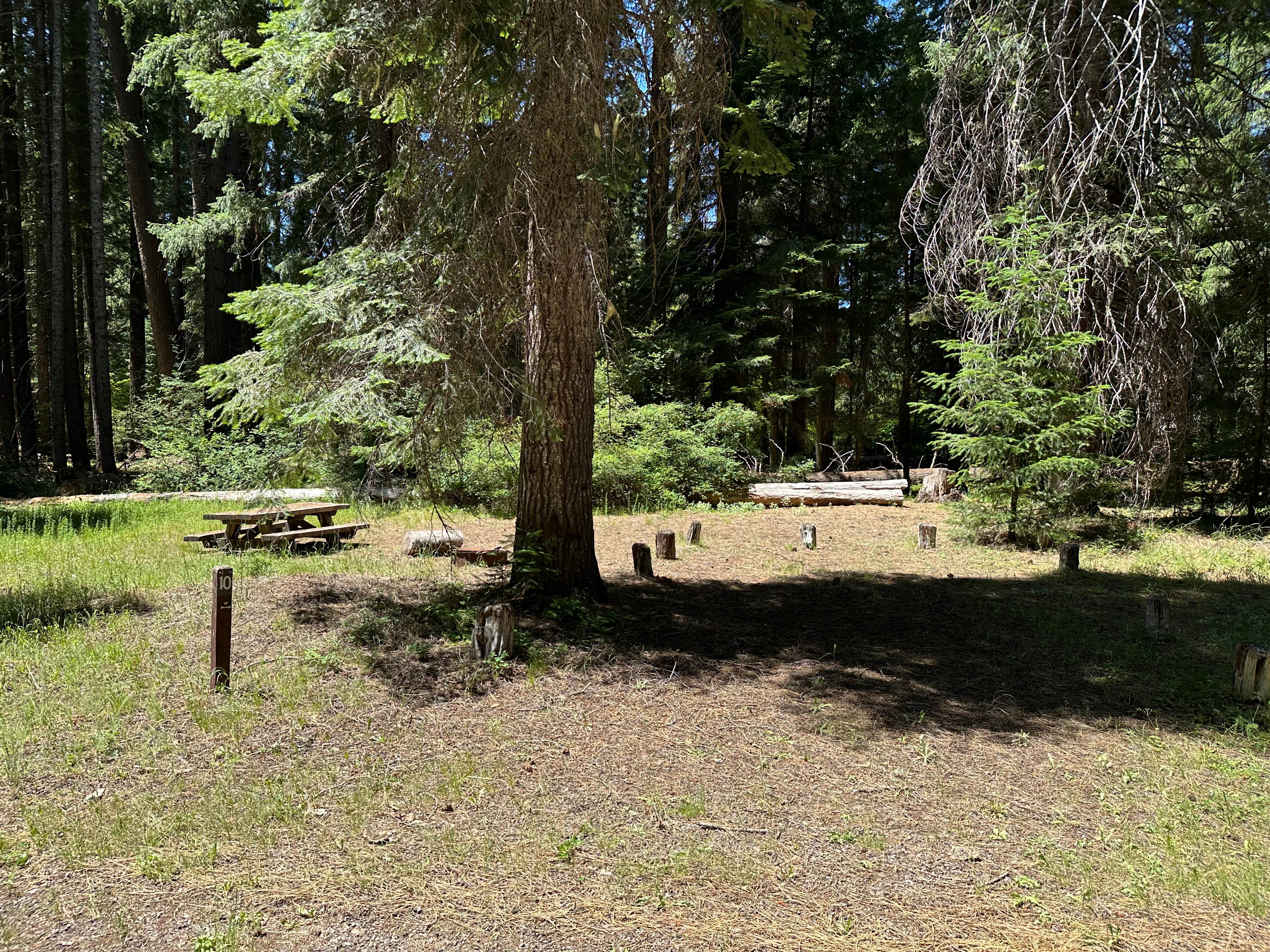 Camper-submitted photo at Abbott Creek Campground near Crater Lake, OR