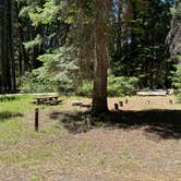 Review photo of Abbott Creek Campground by Bill T., July 6, 2023