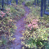 Review photo of Montana Gulch by Adeline T., October 22, 2018