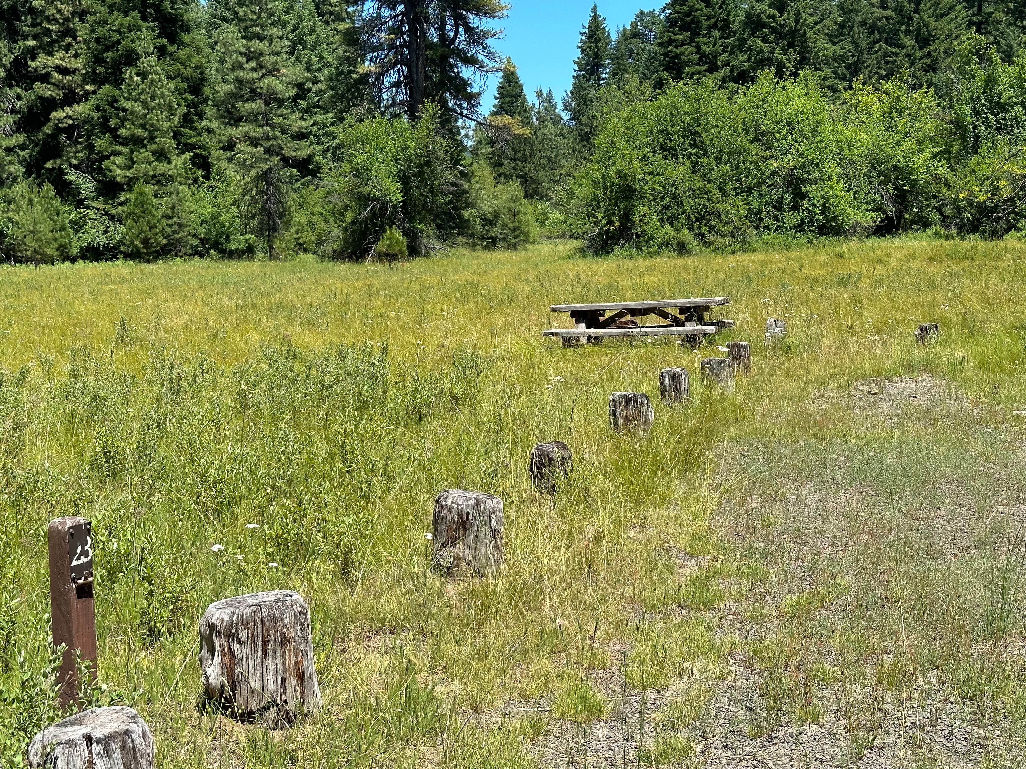Camper-submitted photo at Abbott Creek Campground near Crater Lake, OR